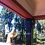 DIŞ CEPHE Poliüretan Kirişler 35