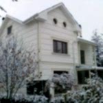 DIŞ CEPHE Polistren Uygulamalar 235