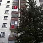 DIŞ CEPHE Polistren Uygulamalar 255