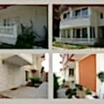 DIŞ CEPHE Poliüretan Uygulamalar 525