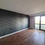 DECOPOLYMER ÇITA UYGULAMA 469