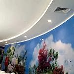 DECOPOLYMER ÇITA UYGULAMA 423