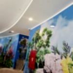 DECOPOLYMER ÇITA UYGULAMA 495