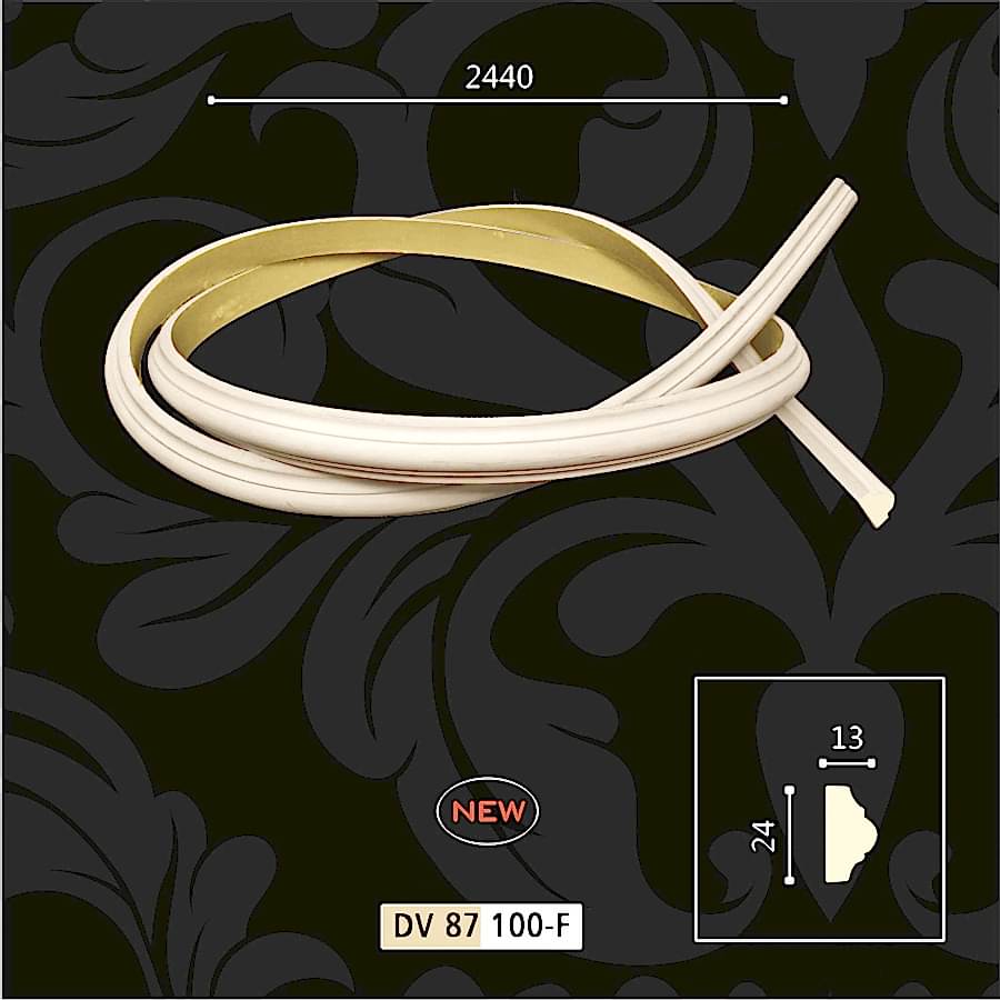 DV 87 100F