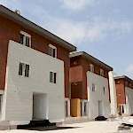 DIŞ CEPHE Polistren Uygulamalar 321