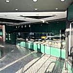 DECOPOLYMER ÇITA UYGULAMA 597